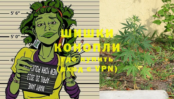 тгк Костерёво