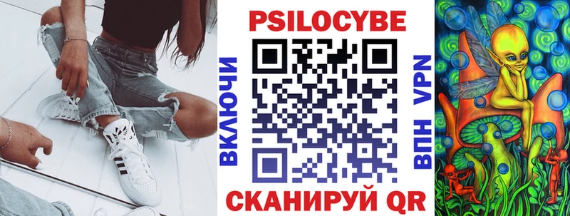 Псилоцибиновые грибы Cubensis  Купить где  Прохладный 